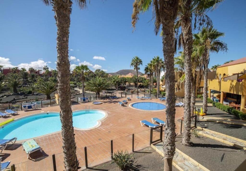 Lightbooking Oasis Royal Corralejo F311 Εξωτερικό φωτογραφία
